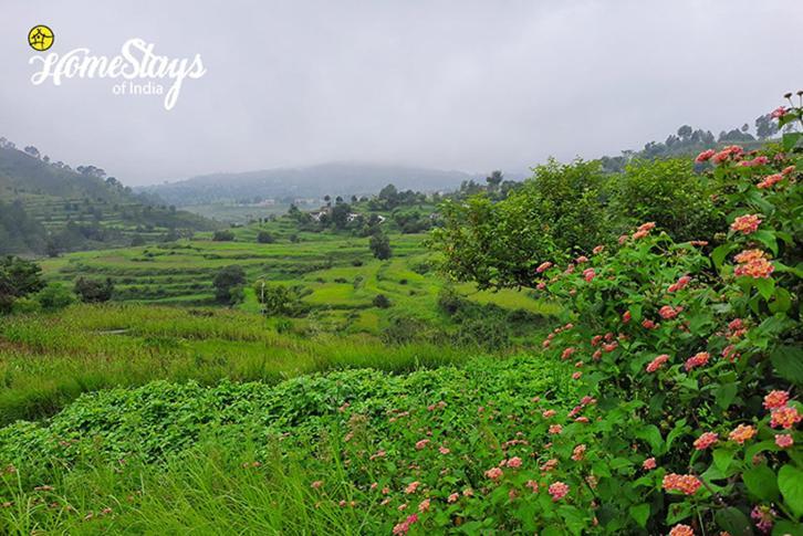 Dwarahat Village Farmstay- Babaji'S Cave Exterior photo